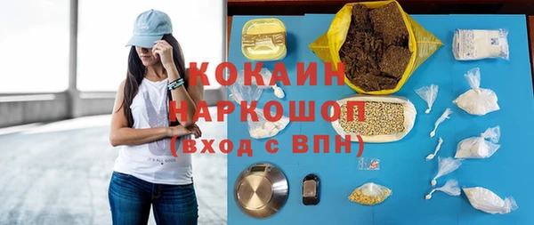 индика Кулебаки