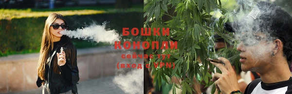 индика Кулебаки