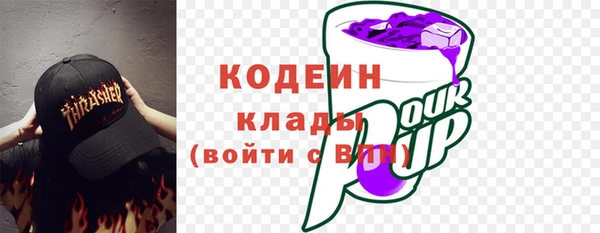 индика Кулебаки