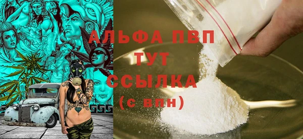 PSILOCYBIN Лихославль