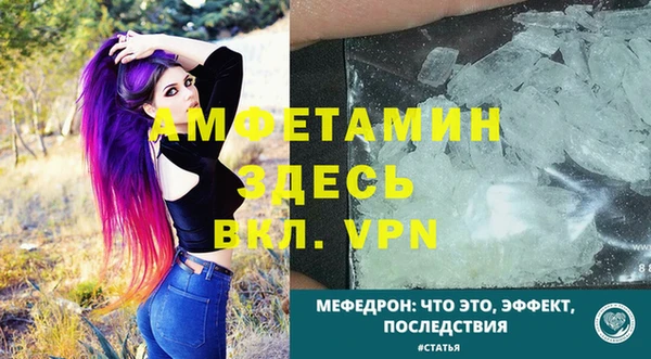 индика Кулебаки