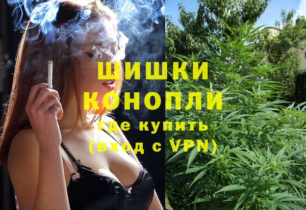 PSILOCYBIN Лихославль