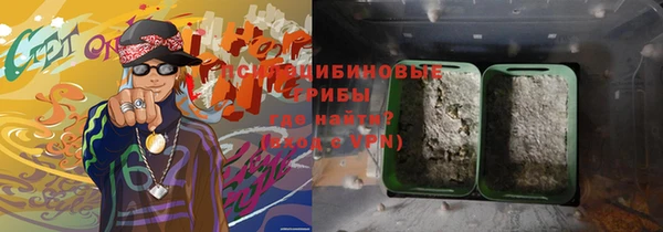 PSILOCYBIN Лихославль