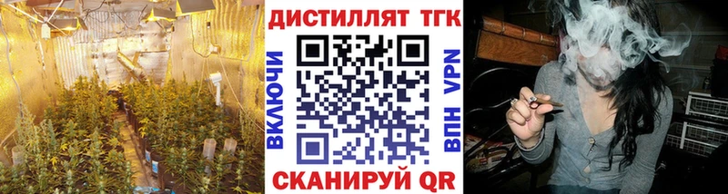 ТГК THC oil  кракен ссылки  Стародуб 