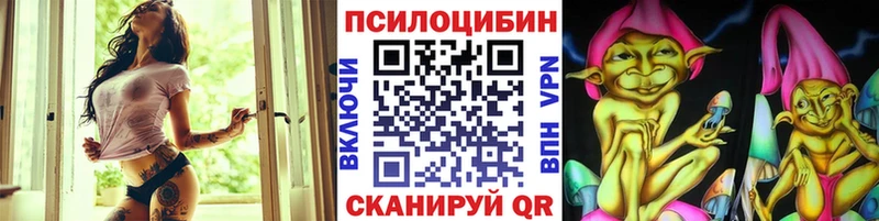 Псилоцибиновые грибы мицелий  магазин    Стародуб 