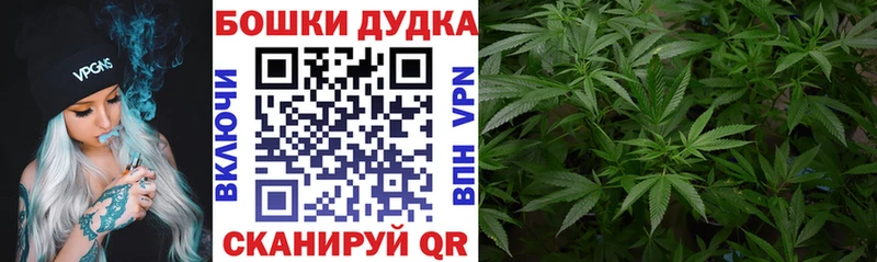 Канабис конопля  Стародуб 